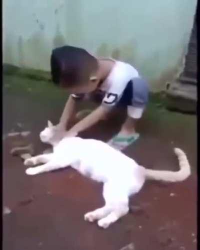 never too early to learn