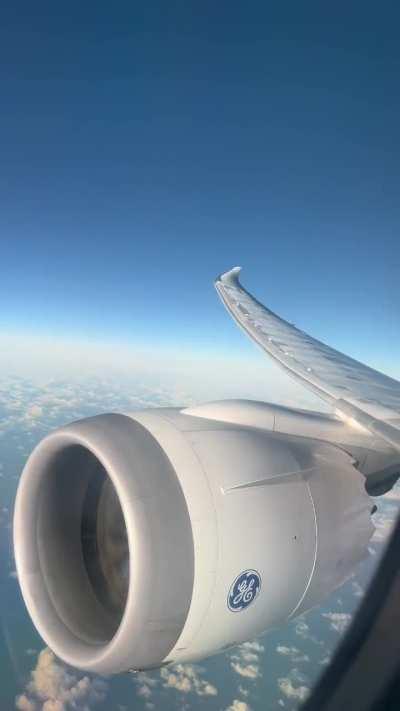 Boeing 787-8 wing flex