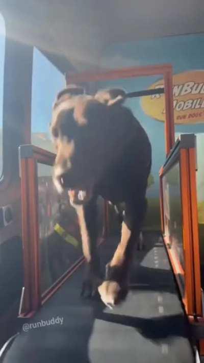 I've never been this excited to get on a treadmill 🤣