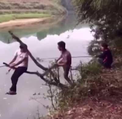 Not sure who’s worse, guy on the branch or the one kicking it...