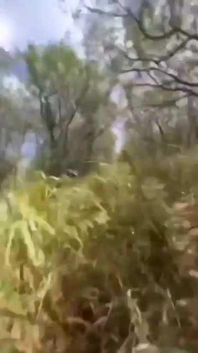 Can the lighthouse save us?