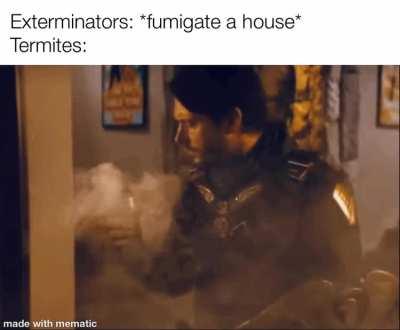 That’s that wood shit