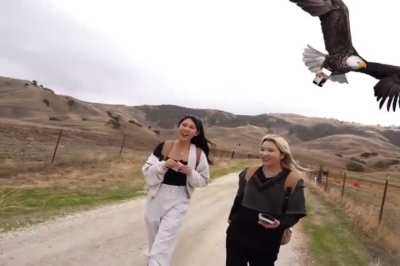 A feathered fan spots Emily and Yvonne during the amazing Expedition stream!