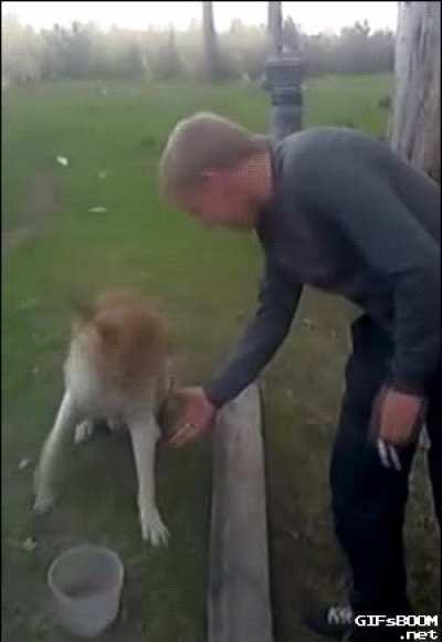 Well how you doing boy?