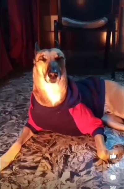 soy un pastelito horneado de canela