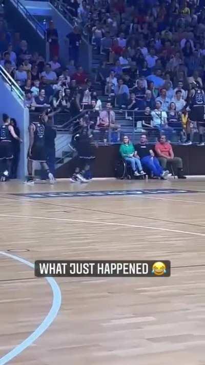 When the circle of life comes on, you find a baby.