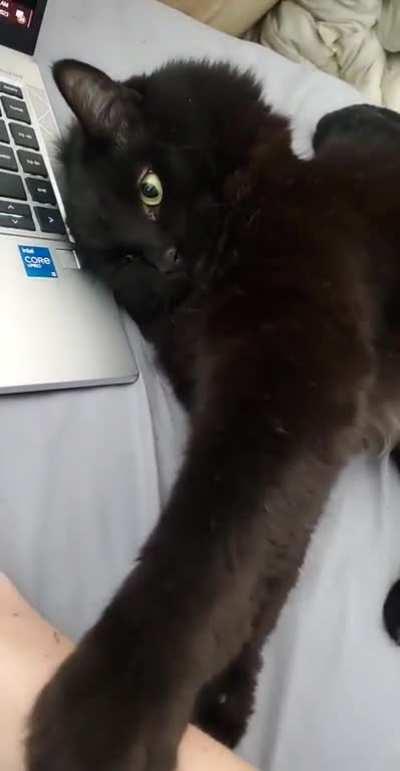 I thought he wanted a hug...