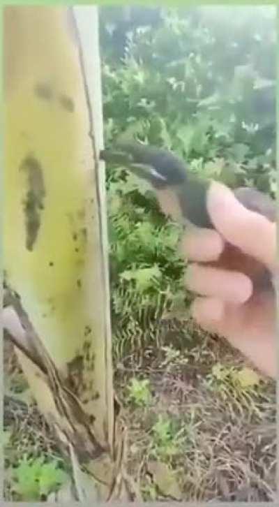 Смотри куда летишь