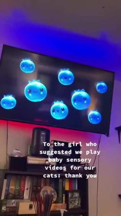 he doesnt look too happy