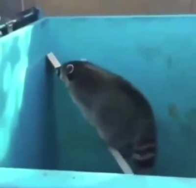 Quero saber a música, sempre quis saber