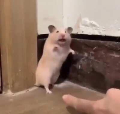 You seeing this dude touch my ass?