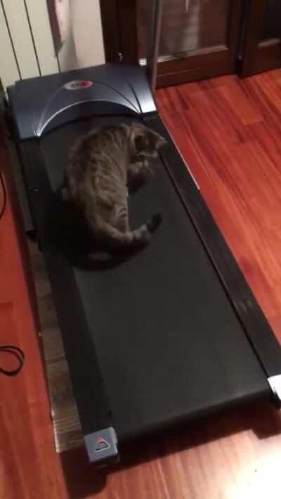 What's Happening?? Why I am getting off from this? LOL