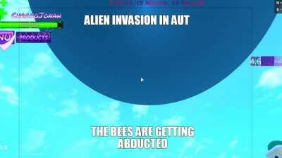 OH NO GUYS THERES AN ALIEN INVASION IN AUT THE BEES ARE GETTING ABDUCTED