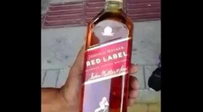 Só a verdade (⌐■-■)