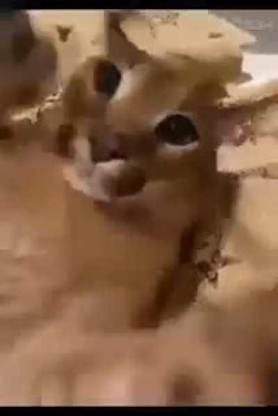 😳😳😳😳😳😳