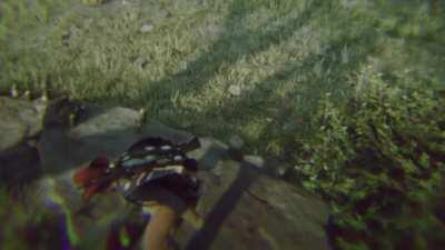 This is how I imagine Americans play the game