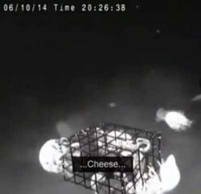 LETS GOOOOOOOOOOOOOOOOOOOOO