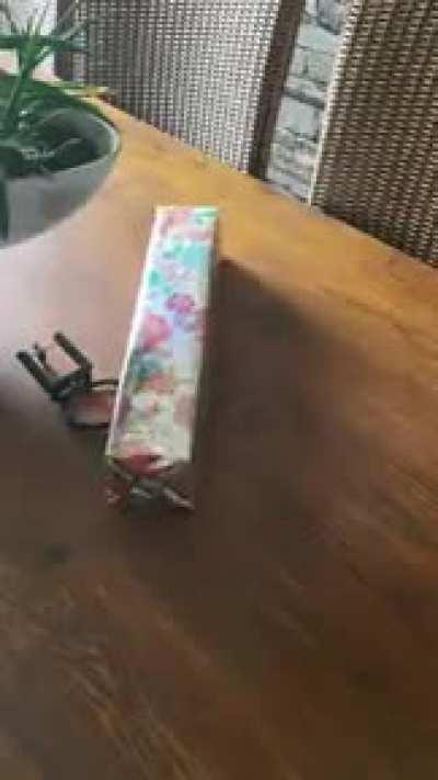 Decidi dar um presentinho para minha namorada. Mas de alguma forma eu o acionei depois de embrulhá-lo.