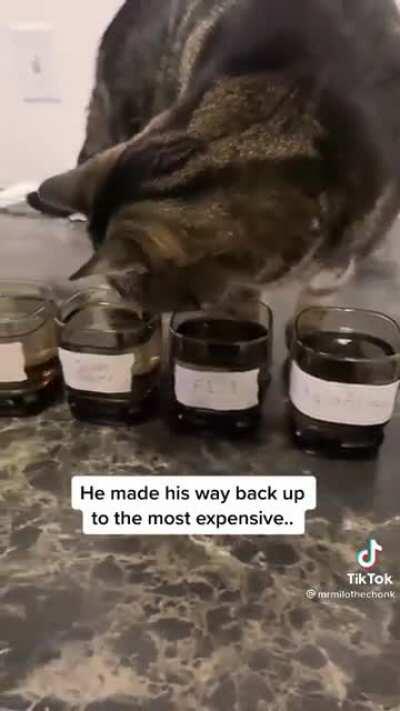 A man of expensive taste