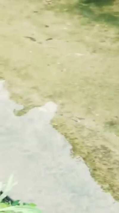 Mr. Stark, I don't feel so good...