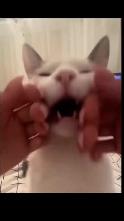 rrrreng rrrrreng, rrrrreng? reeereuw rrrrrrenh