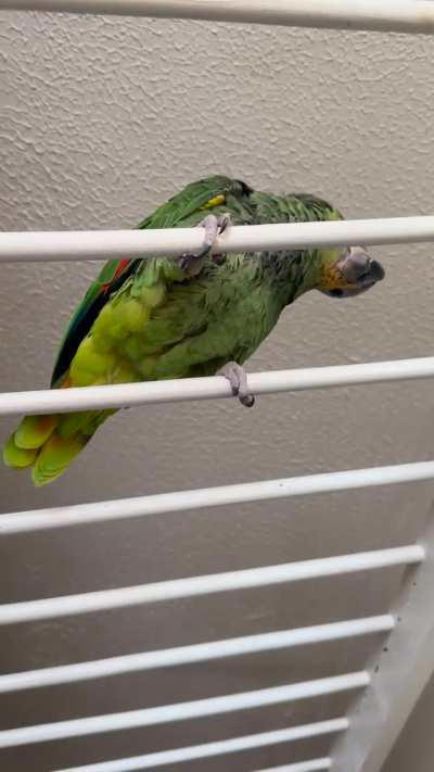 Is that snuffling sound a vet visit?