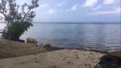 Shockwave from the volcanic eruptions in Tonga.