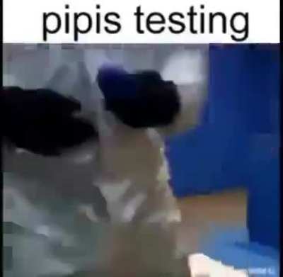 pipis quality control