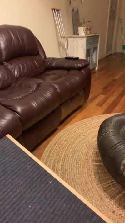 Hamilton’s first zoomies!