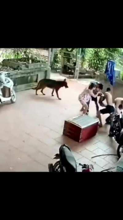 What was in the box...?