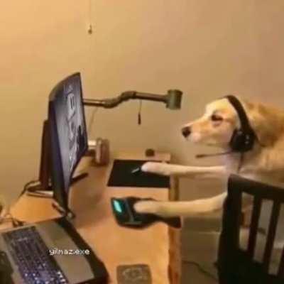 La vida del admin 😔👊