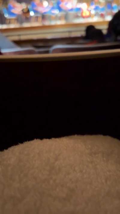 Brandenburg Concerto 3