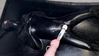 Locked in a vacbed stuffed with a dildo & forced to cum with a wand over and over! [OC]