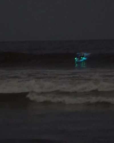 Bioluminescent algae embedded in sand