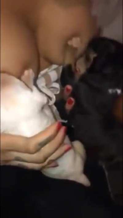 NSFW - Breast feeding puppies