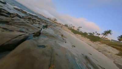 Catching waves on the coastline