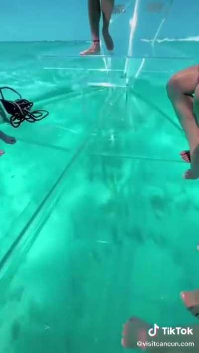 Imagine what you might see!