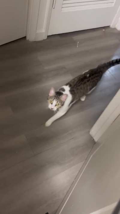 I told you no bathrooms!