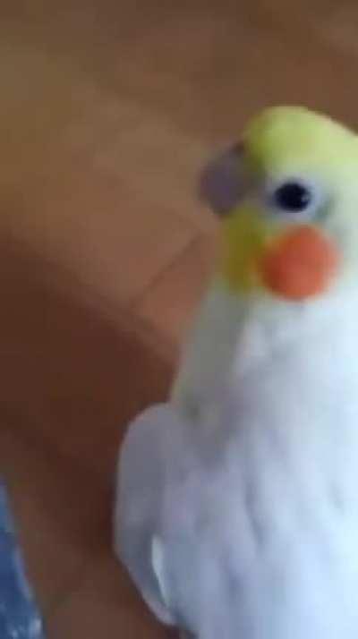 Impossible not be in a good mood around him