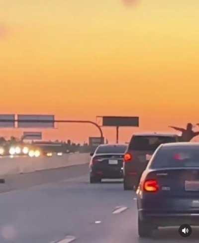 There isn’t a single functioning brain found here