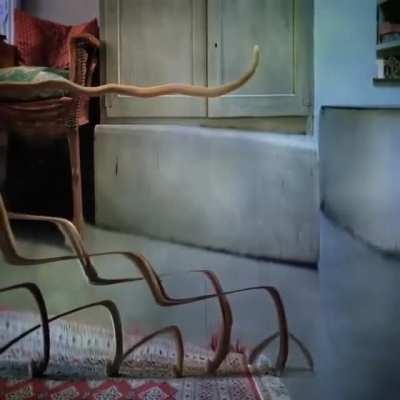 How it feels to be tripping with your pets close?