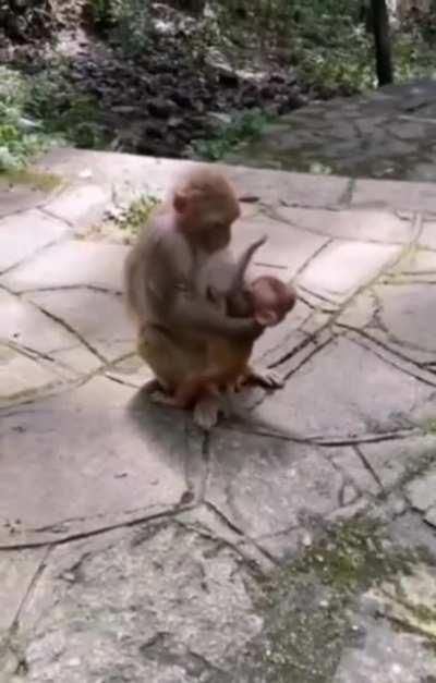 A loving mom and her baby