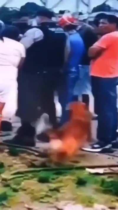 Ha de ser team calor