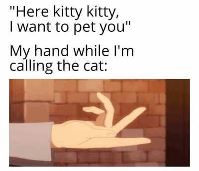 Why did kitty run away? :(