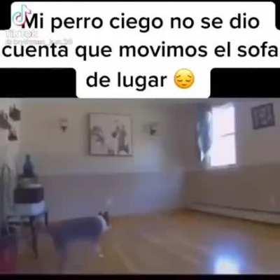 Me voy a ir al infierno por esto...