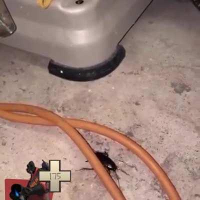 pyro is the best class, you cannot change my mind