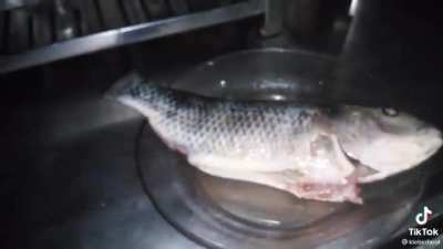 Live action de padak