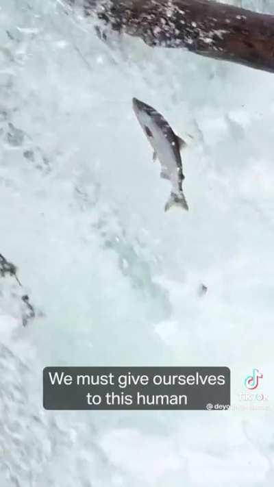 The Yupik (indigenous arctic) human origin story informs their social philosophy to this day: