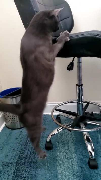 I think he was really trying to get up there 😂