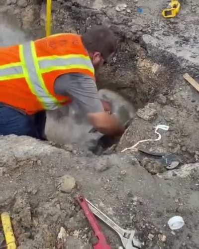 Patience truly is a virtue!